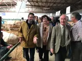 La Junta afirma que por "primera vez" se ha logrado "frenar" la expansión de la tuberculosis bovina en Extremadura