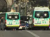 13 muertos y 80 heridos en el atentado en La Rambla.