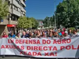 Más de 500 personas se manifiestan en Ourense para pedir ayudas directas para los afectados por las heladas