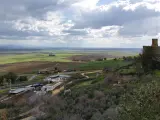 El paisaje agrario de Carmona y Los Alcores, reconocido de interés turístico andaluz