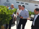 La Junta anima al sector vinícola a afrontar el reto de la internacionalización
