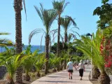 El turismo crece un 6% en el sur de Tenerife en 2016 hasta 4,3 millones de visitantes