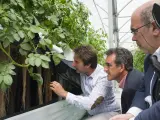 El Gobierno ofrece su apoyo a nuevo modelo de siembra de patata en el aire que se desarrolla en Voto