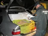 La Guardia Civil decomisa 446 kilos de productos pesqueros inmaduros valorados en 4.900 euros