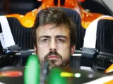 Alonso: "Es muy jugoso decir que McLaren-Honda va a quedar último"