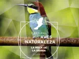 Ornitología y eventos acuáticos impulsan los festivales de la naturaleza de Villanueva del Fresno y La Roca