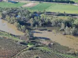 La CHG realiza vuelos sobre el río Guadiana en la provincia de Badajoz para identificar rodales existentes de camalote