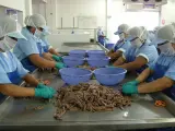 Una de cada cinco empresas de conservas de pescado tiene un alto riesgo de impago, según Crédito y Caución