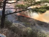 Incendio en Tejeda (Gran Canaria)