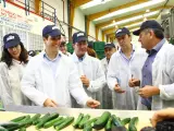 PP reivindica un Gobierno "ya funcionando" que "siga peleando por el campo y el sector hortofrutícola"