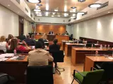 PP suspende la Comisión de Presupuestos sin darla por finalizada y pedirá que Ruiz Molina se reincopore tras su abandono