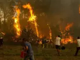 Un grupo de vecinos trabaja en el incendio en una zona cercana a Vigo.