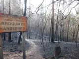 Zonas siniestradas de los montes gallegos, en la parroquia de Chandebrito en Nigrán (Pontevedra), donde fallecieron dos de las cuatro víctimas de los incendios forestales en Galicia.