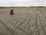 Un agricultor observa sus plantas de arroz marchitas debido a la sequía que desde hace un mes afecta a la localidad de Muan (Corea del Sur).