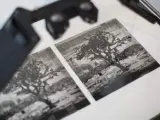 Una de las fotografías estereoscópicas realizadas por William Kentridge que dan forma al libro Tummelplatz.