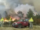 Declarado un incendio forestal en Torre la Ribera.