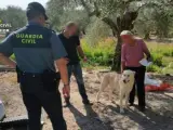 La Guardia Civil durante una operación contra el robo de perros de caza.