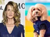 Laura Dern tiene una doble (y es una perra)