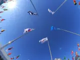 Fotografía realizada con una lente de ojo de pez que muestra las banderas de las 92 naciones participantes en los Juegos Olímpicos de Invierno de PyeongChang 2018.