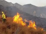 Bomberos forestales trabajan en el incendio de Rioja