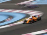 Fernando Alonso pilota en el circuito de Paul Ricard (Francia).