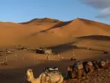 Desierto del Sáhara - Archivo
