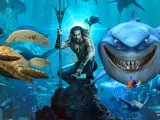 Internet siempre gana: El cartel de 'Aquaman' se convierte en la mofa del día