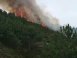 Controlado un incendio forestal en Oia
