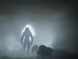 'The Predator': Primer vistazo en vídeo al famoso perro-Depredador