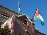 Banderas palestinas en la oficina de la Organización para la Liberación de Palestina (OLP) en Washington (EE UU).