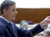 Pedro Sánchez en su intervención en el pleno del Senado.