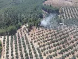 Incendio forestal en Pozo Alcón (Jaén)