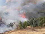 El Infoca trabaja en la extinción de un incendio en La Granada de Riotinto.