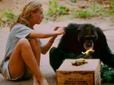 Fotograma del documental 'Jane', basado en la vida de la primatóloga Jane Goodall.