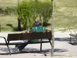 Un hombre sentado en un banco en un parque.