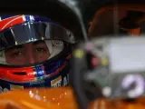 Fernando Alonso, durante el GP de Abu Dhabi.