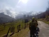 Permanece activo un incendio forestal de los 10 provocados hoy en Cantabria