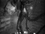Salen a la luz dos nuevos diseños de 'Alien 5'