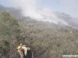 Imagen del incendio forestal declarado en Castell de Castells, Alicante.