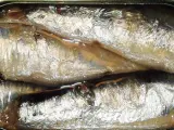 Sardinas en lata