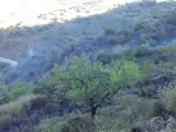 Málaga.- Sucesos.- Un incendio agrícola quema 1,8 hectáreas de pastizal en un terrno abandonado de Málaga