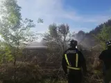 Controlado un incendio en el camino de Sirga del Canal, en Palencia