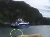 Un perro recibe a un barco turístico a su llegada a puerto.