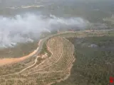 Incendio forestal en Maials (Lleida) junto a la C-12