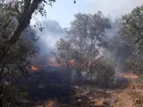 Incendio en Villaviciosa de Córdoba