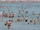 Un gran número de personas se refresca en las aguas de la playa de la Malvarrosa de Valencia.