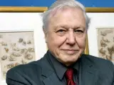 El británico David Attenborough, que fue premio Príncipe de Asturias de las Ciencias Sociales 2009, en una imagen de archivo. ANDY RAIN / EFE
