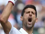 Djokovic celebra su pase a la final en Wimbledon