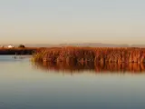 Imagen del lago de la Albufera de Val&egrave;ncia