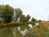 El Canal de Castilla, a su paso por Fromista (Palencia).